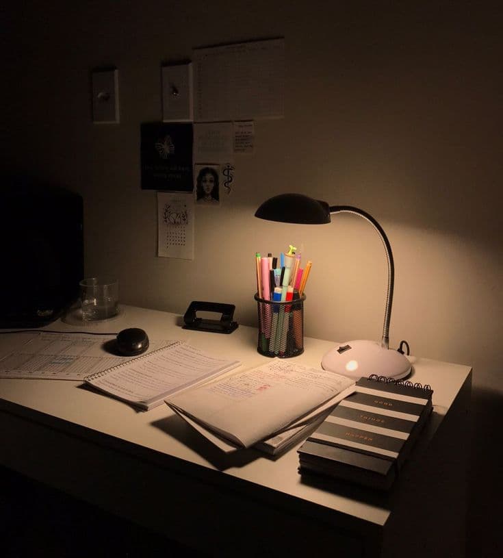 PlacementReady dashboard preview